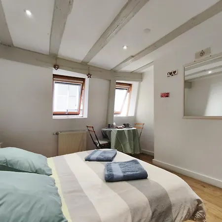 - Centre Historique - Equipée - Salle D'eau Et Wc Privés Colmar