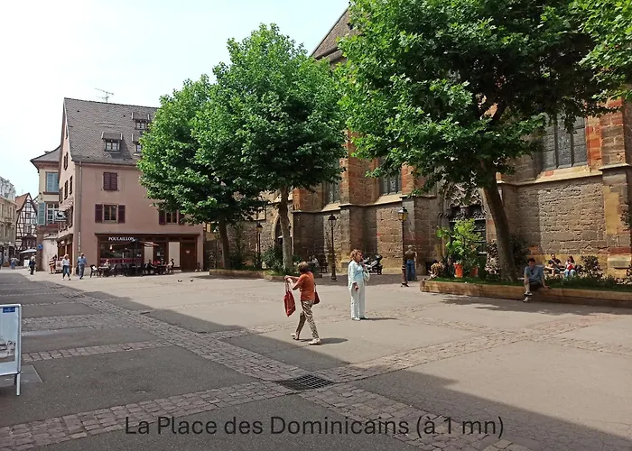 - Centre Historique - Salle D'eau Et Wc Prives