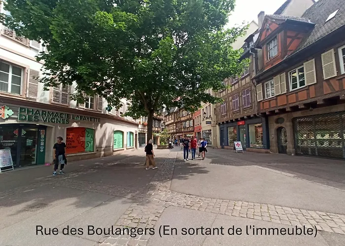 - Centre Historique - Salle D'eau Et Wc Prives Colmar