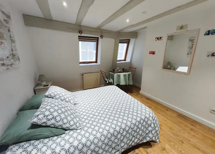 Kapsül Otel - Centre Historique - Salle D'eau Et Wc Prives Colmar